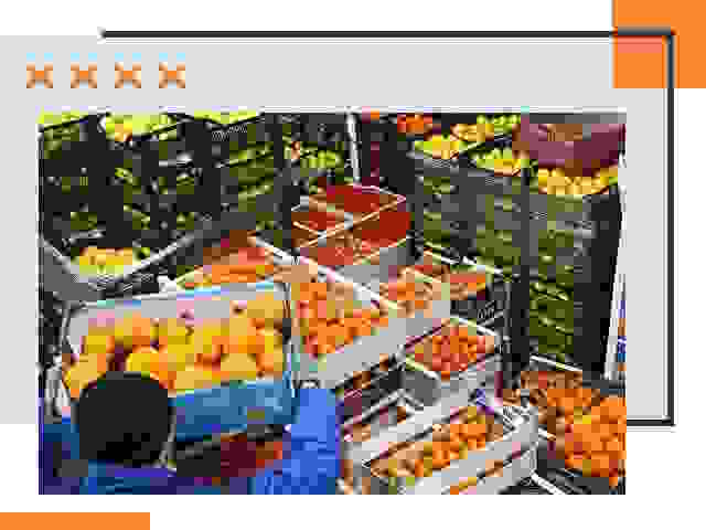 Перевозка скоропортящихся продуктов в ельце